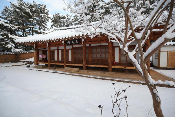 Wolamjae Villa Gyeongju Exterior photo